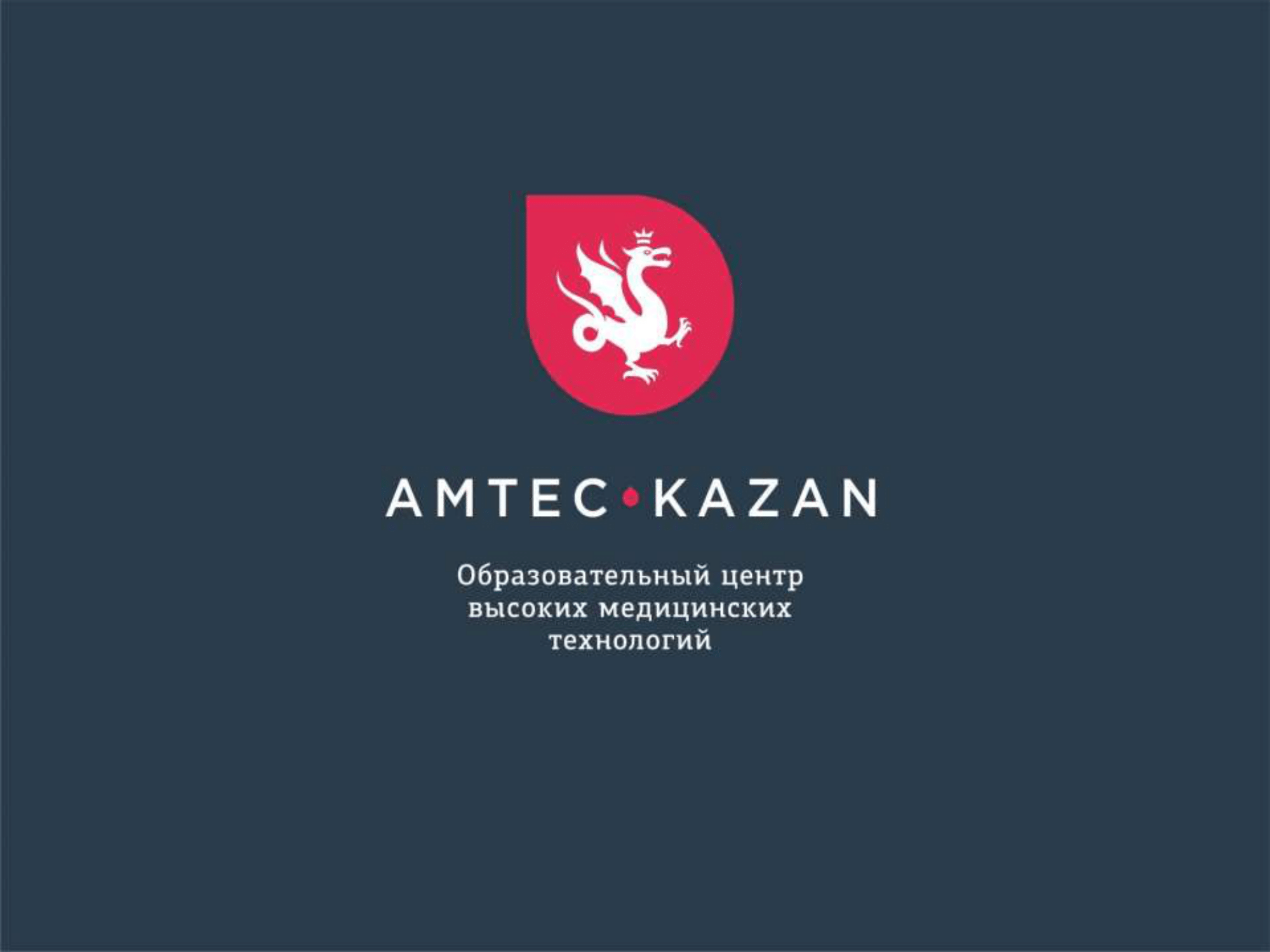Презентация AMTEC KAZAN 17-01